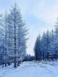白雪、冰晶、霧凇、大風車，包你一個冬天不後悔！