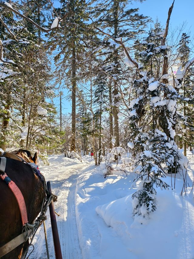 吉林最出鏡的地方在哪裡？雪嶺'強烈'推薦！