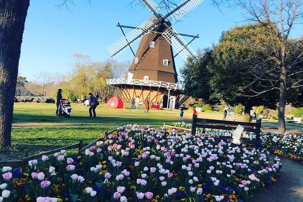Must-Visit in Chiba: The Four Seasons of Funabashi Andersen Park