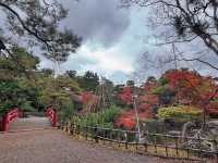 家人們誰懂啊！在蘆城公園狠狠拿捏鬆弛感