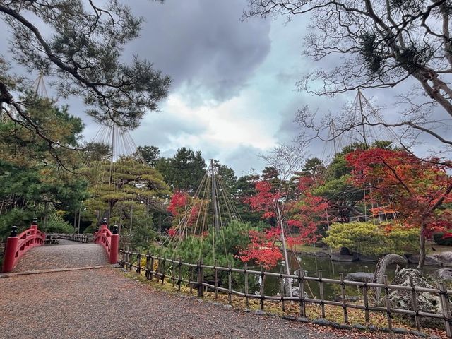 家人們誰懂啊！在蘆城公園狠狠拿捏鬆弛感