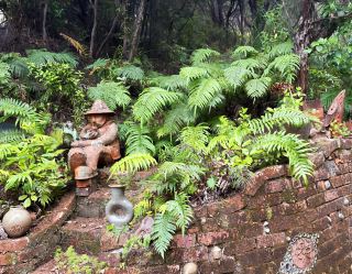 Explore New Zealand's Coromandel | Driving Creek Railway