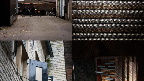 Middlesbrough: Nơi thép và hoa nở rộ — traveler post in Middlesbrough