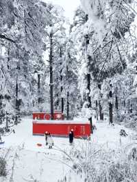 瓦屋山不止有雪