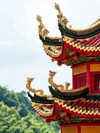 帶娃探秘廬山森林 春節親近大自然