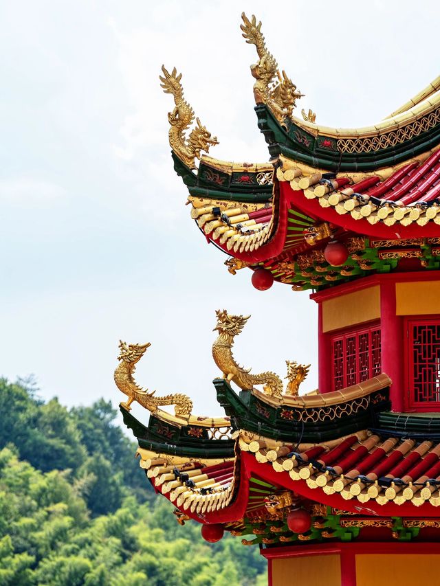 帶娃探秘廬山森林 春節親近大自然