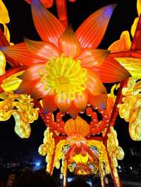 今年嘅燈會好熱鬧，快嚟呢度睇秦淮燈展！