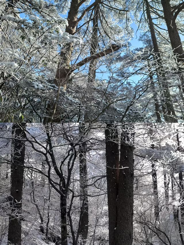 第一次來黃山，踩了許多坑