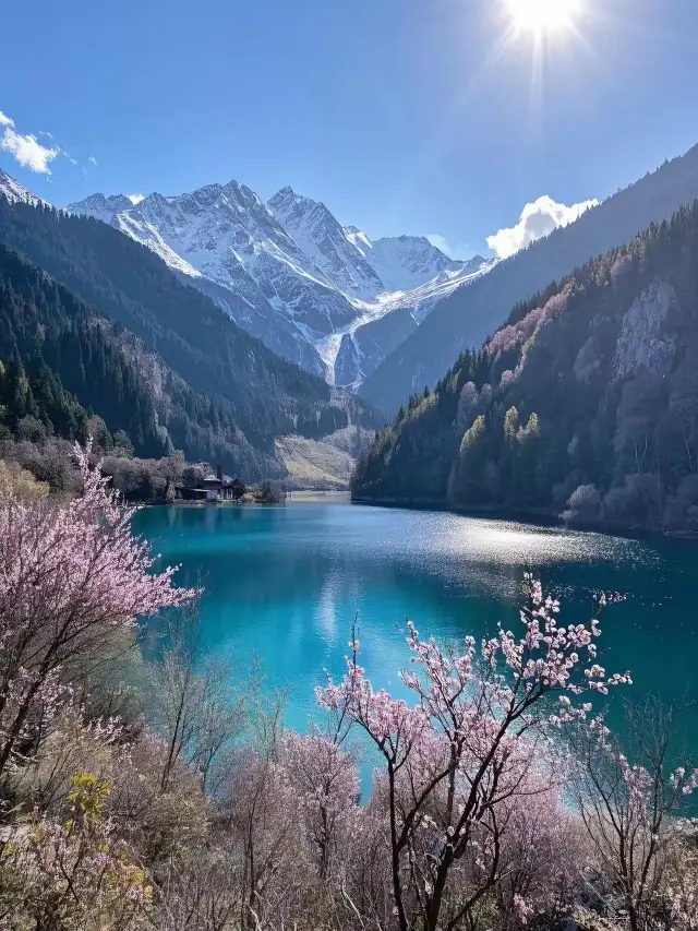 "Peach Blossom Viewing in Jiuzhai Valley, Encountering Spring Romance"