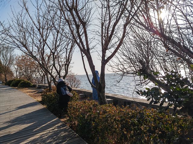 來看看蒲松齡與盂城驛的故事