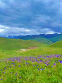 新疆旅遊｜人生是一場荒涼又熱烈的旅途
