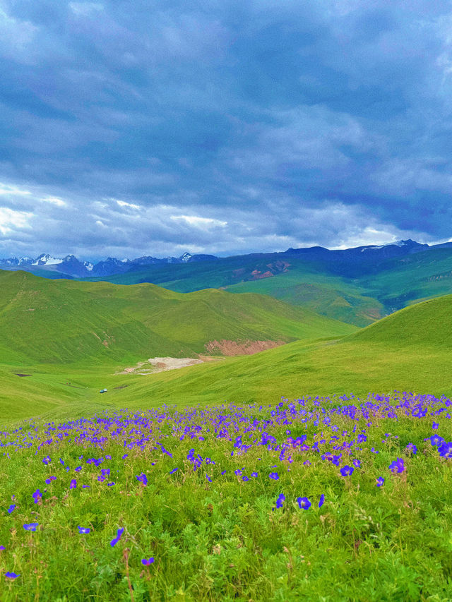 新疆旅遊｜人生是一場荒涼又熱烈的旅途