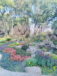 上海的小西湖—楊浦公園探尋