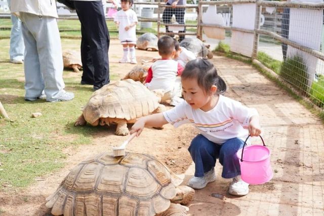 廈門遛娃好去處 廈門遛娃好去處