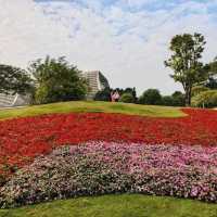 絕美拍照聖地，隨手一拍都是大片！🌸