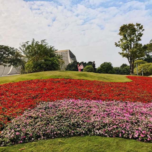 絕美拍照聖地，隨手一拍都是大片！🌸