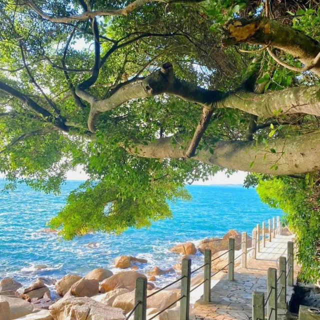 ⛵別懷疑，這就是在深圳的沙灘🛥️