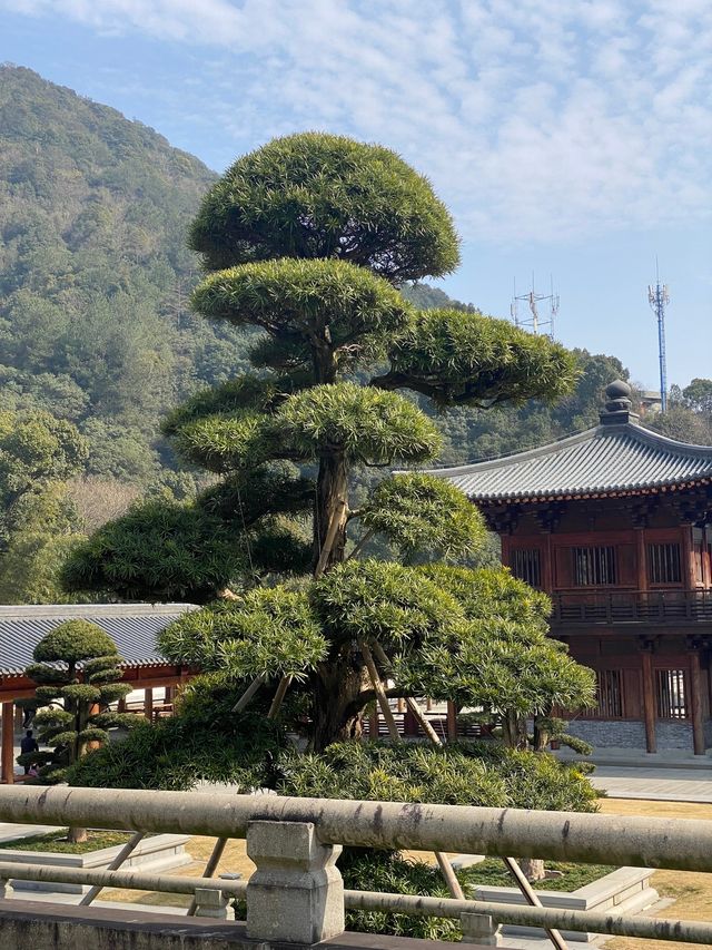 寧波九龍湖風景區旅遊指南