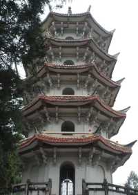 白岩公園：又打卡一個新地點。