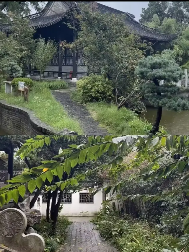 剛從揚州回來，全是真心話