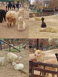 盈香心動樂園：一場既心動又心跳的夢幻之旅！
