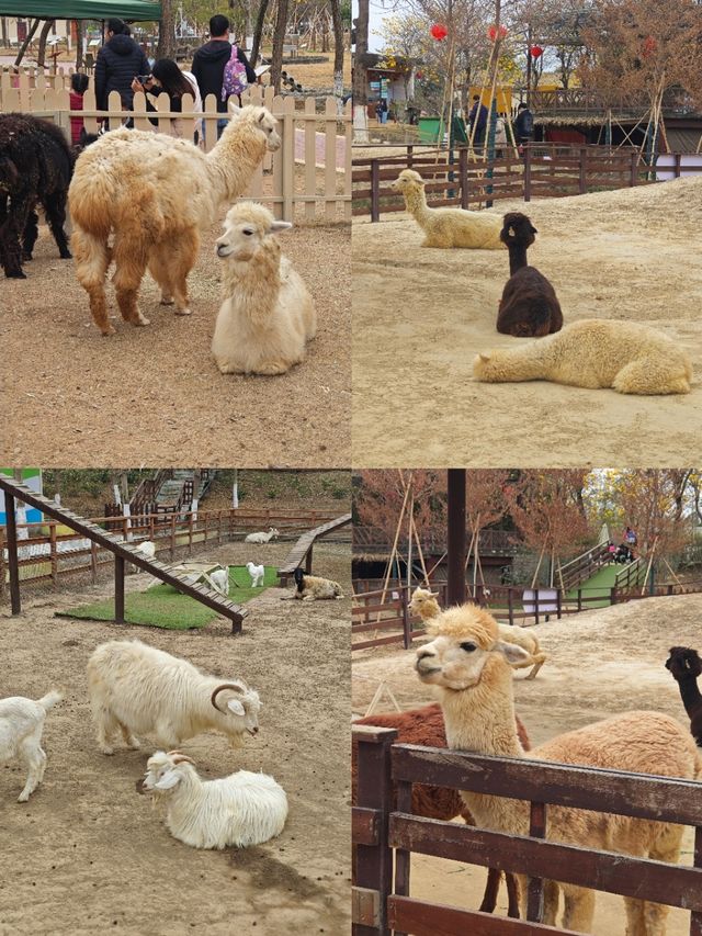 盈香心動樂園：一場既心動又心跳的夢幻之旅！
