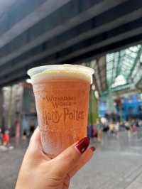 Discover the Magic of Diagon Alley at Universal Orlando