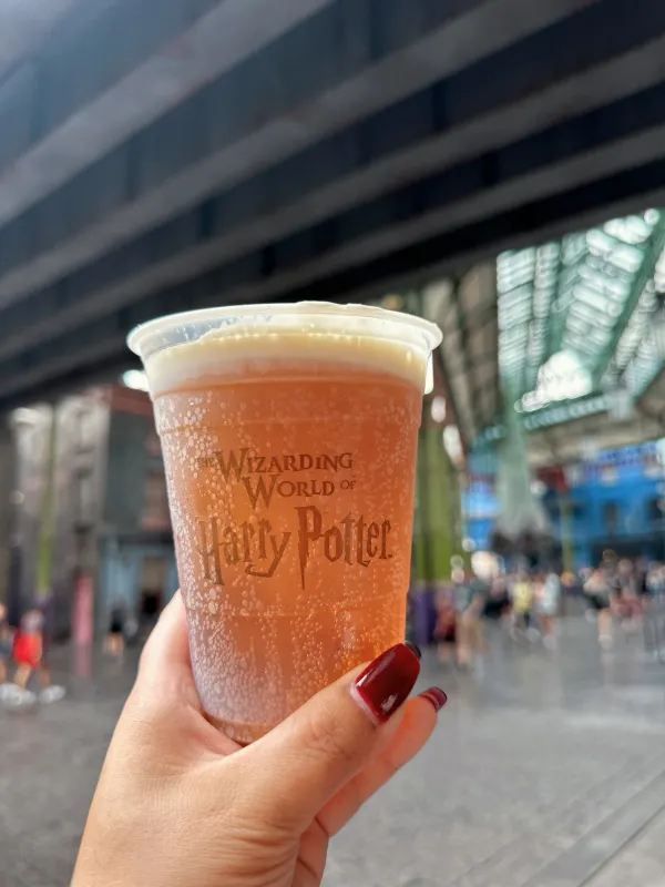 Discover the Magic of Diagon Alley at Universal Orlando