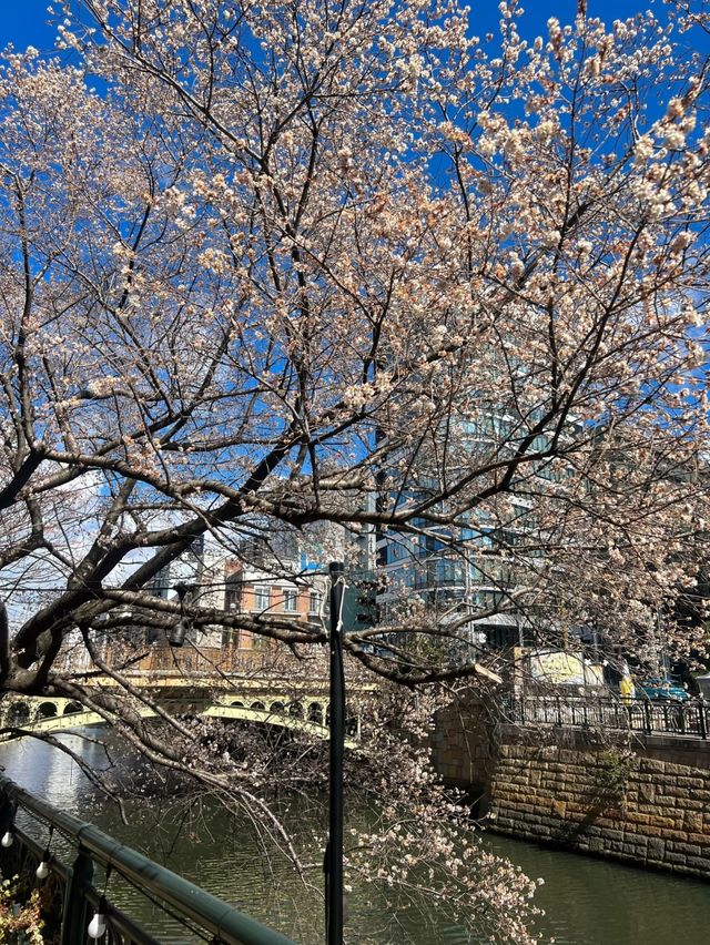 無聊名古屋來一次就夠了