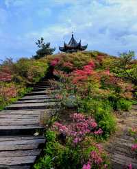 龜峰山的四月不要錯過呀
