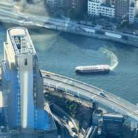 🌆東京之巔！邂逅晴空塔的夢幻時刻