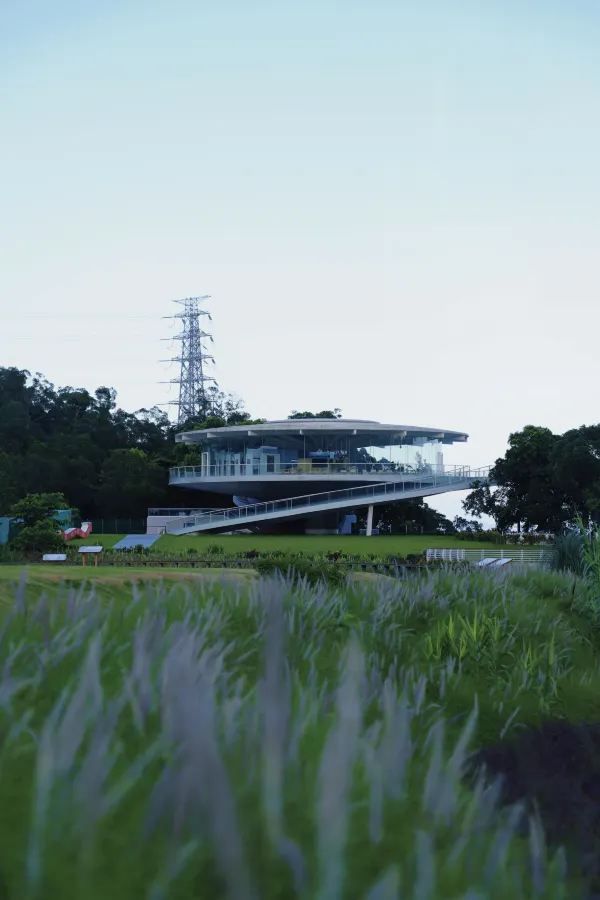 深圳有自己的阿勒泰！——恩上濕地公園