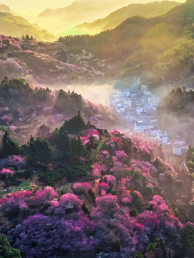 原來陶淵明筆下的《桃花源記》是真實存在的