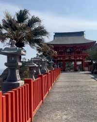 日本·宮崎 | 鵜戶神宮——海崖上的夢幻紅色神社！