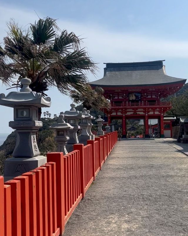 日本·宮崎 | 鵜戶神宮——海崖上的夢幻紅色神社！