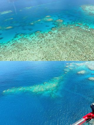 4-Day Trip to Australia: The Perfect Qingming Festival Getaway