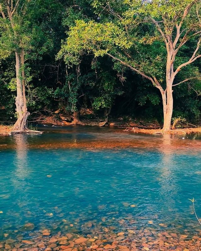 阿布加魯姆自然保護區（Abu Galum Nature Reserve）——紅海秘境探險之旅 
