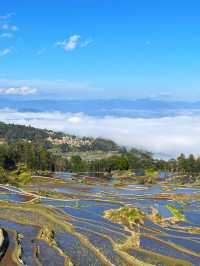 昆明-撫仙湖-建水6日遊 不踩雷攻略來啦