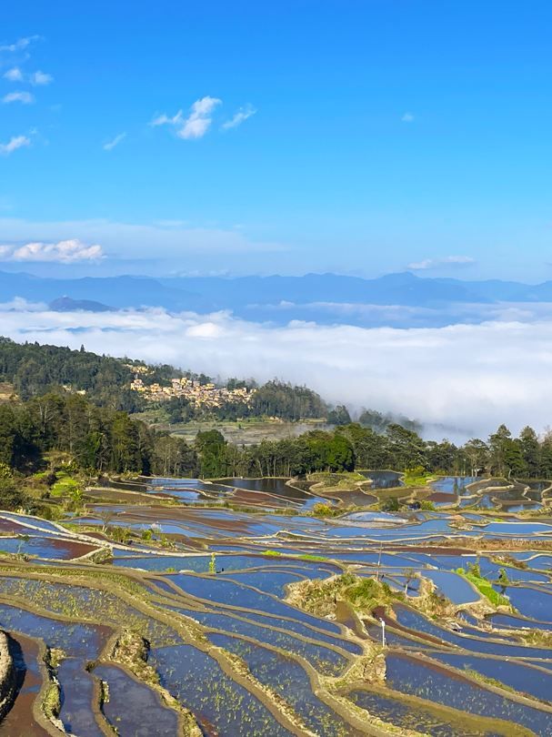 昆明-撫仙湖-建水6日遊 不踩雷攻略來啦