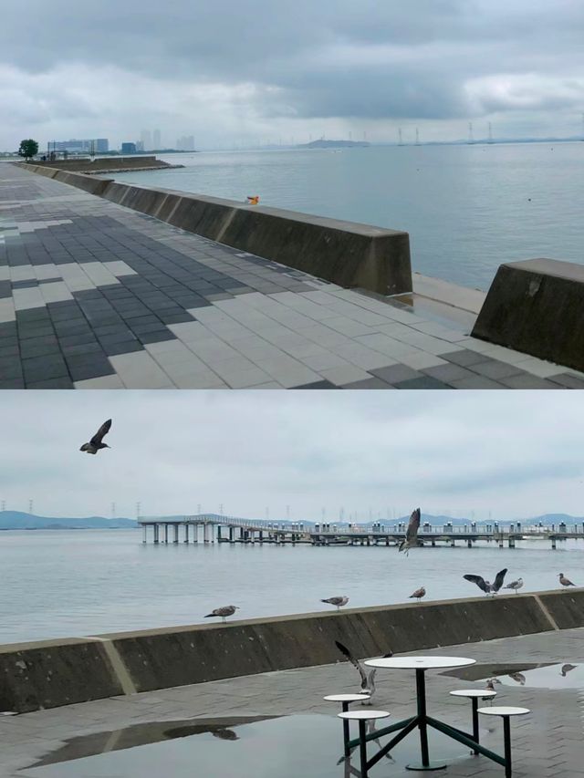 韓國始興市