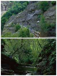 六盤山國家森林公園樹木茂盛天然氧吧呼吸清爽快來