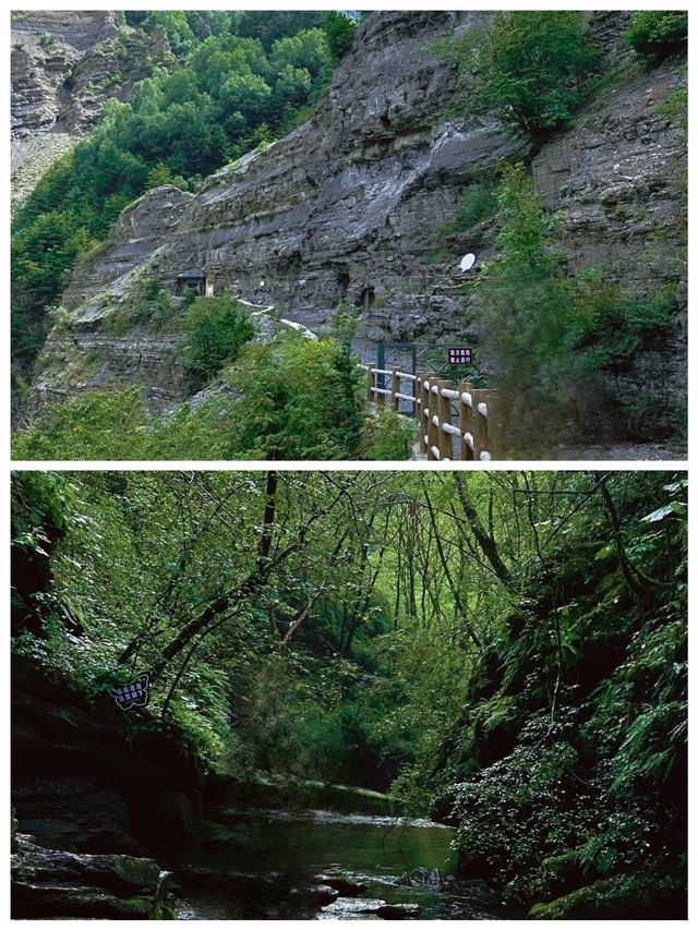 六盤山國家森林公園樹木茂盛天然氧吧呼吸清爽快來