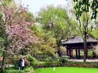 三月遊成都，別錯過這個滿園海棠的古風公園