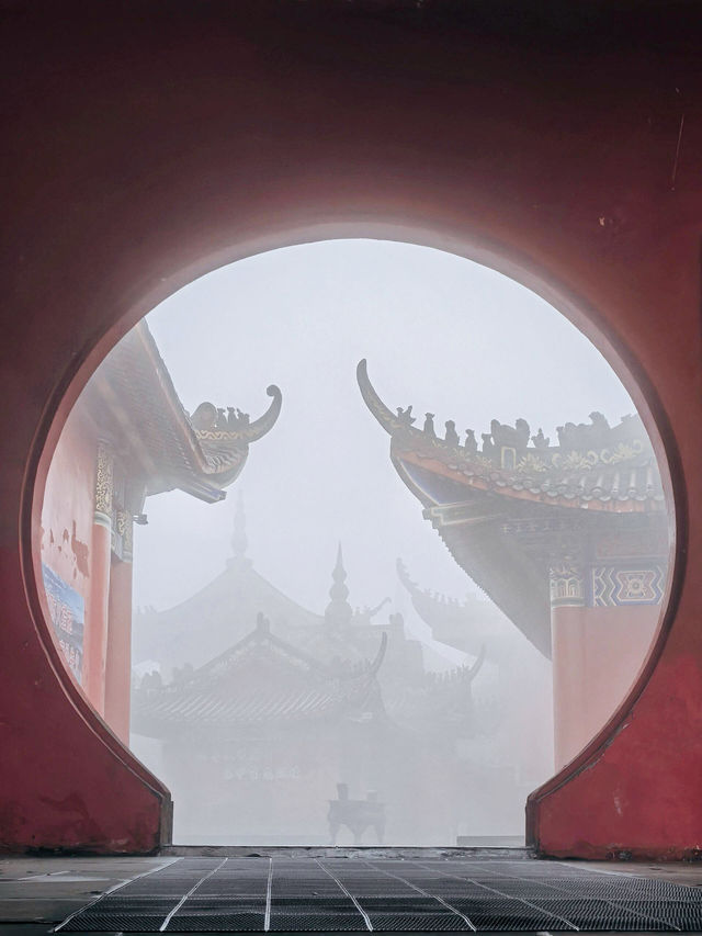 蜀南竹海藏着嘅神秘「綠密碼」，你能夠解開嗎？