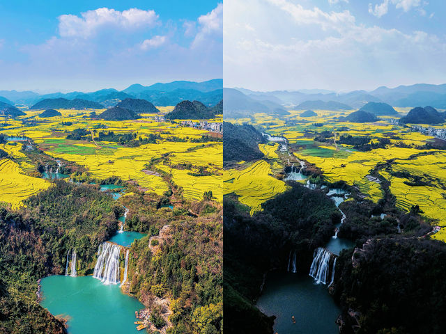 墜入金色海洋·雲南羅平油菜花