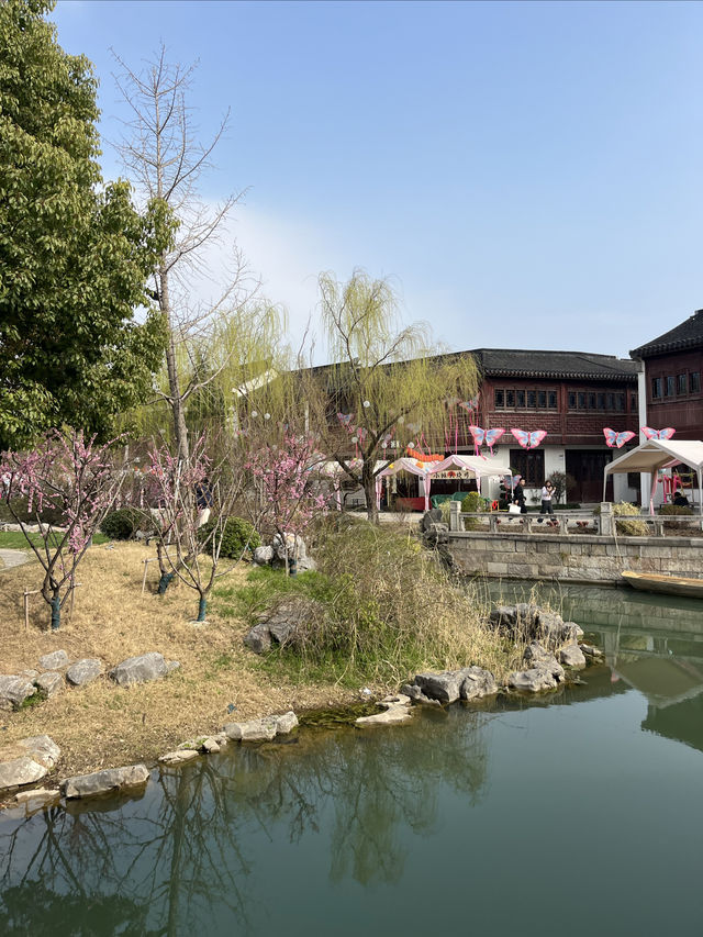 桃花塢春色