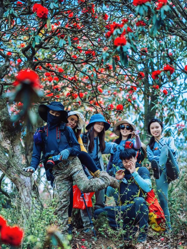廣州高鐵0.5天直達｜充滿鮮花的世界徒步。