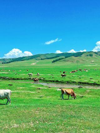 Ulan Butong–Saihanba: A 2-Day Photography-Focused Itinerary