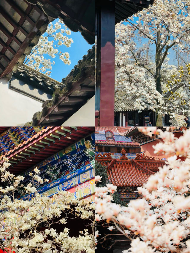 蘇州園林春色濃，玉蘭花開映翠湖。