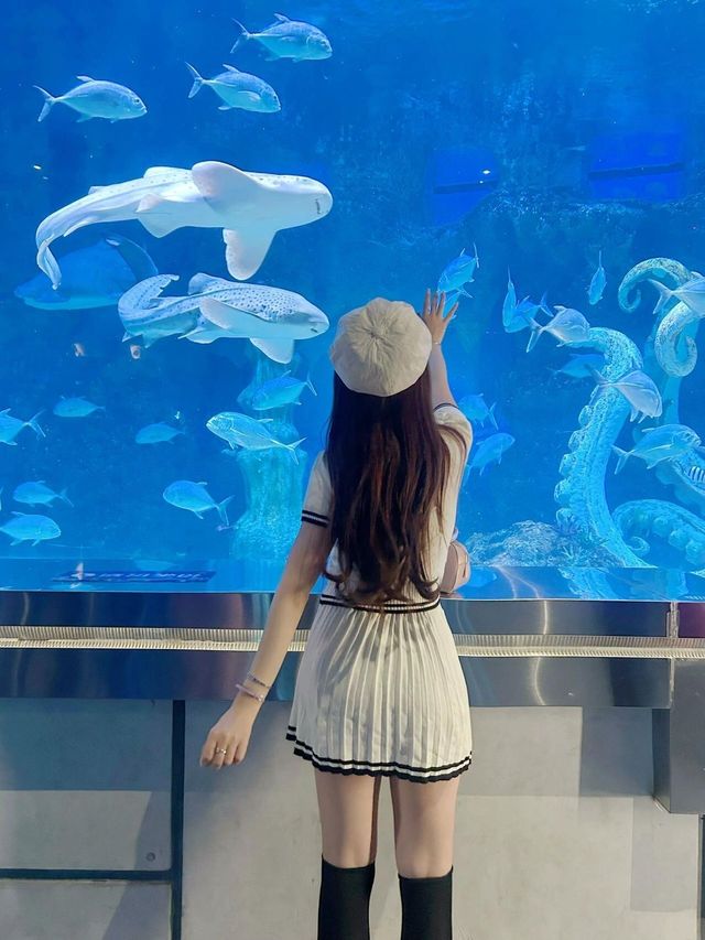 親測廣州海洋館真係好玩又好拍